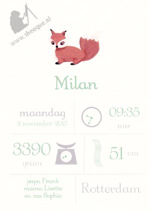 Mijlpalenposter